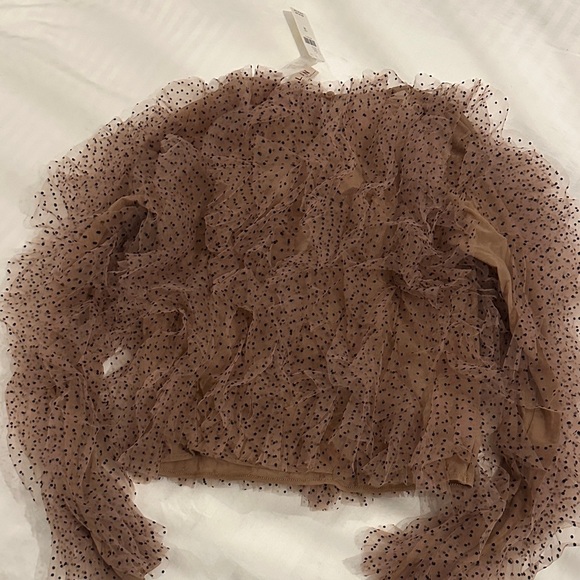Anthropologie Dolan Left Coast Mesh Ruffle Top - Medium - Picture 12 of 12